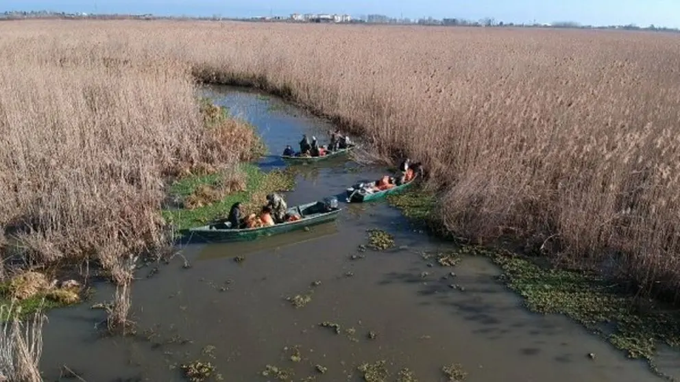 Governor of Gilan: The Depth of the Anzali Lagoon Has Dropped from 10 Meters to 20 Centimeters